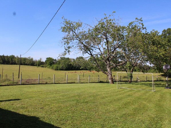 Ein grasbewachsenes Feld mit einem Basketballkorb und einem Baum.