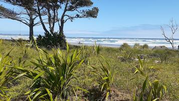 Playa en los alrededores y camastros