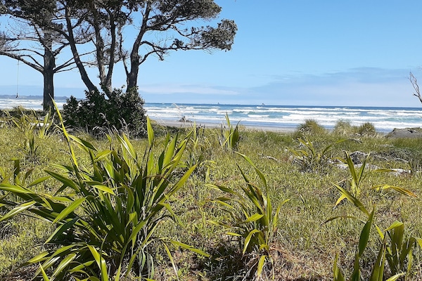 Una spiaggia nelle vicinanze, lettini da mare