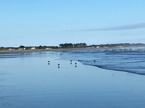 Beach nearby, sun-loungers - Newly renovated beach studio loft on cycle trail (Carters Beach)