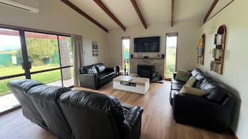 Smart TV, fireplace, video games, DVD player