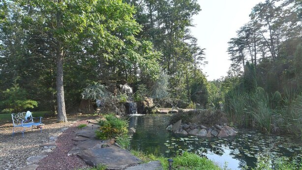 Un cadre extérieur paisible avec un étang, une cascade et un banc.
