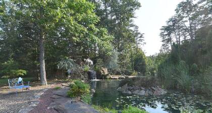 Mountain Meltdown - Pet Friendly | Wifi | Fire Pit | Fountain | Porch