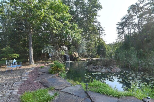 Property grounds - Mountain Meltdown - Pet Friendly | Wifi | Fire Pit | Fountain | Porch (Berkeley Springs)