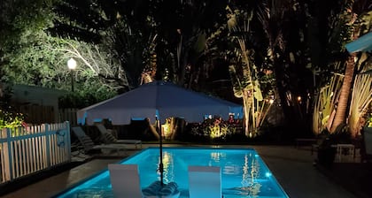 Downtown Tropical Oasis- heated Pool/ Private fenced yard.
