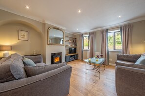TV, fireplace, books