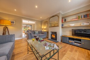 TV, fireplace, books