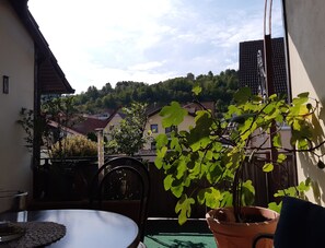 Outdoor dining - Vacation & enjoyment at the winery (Königheim)