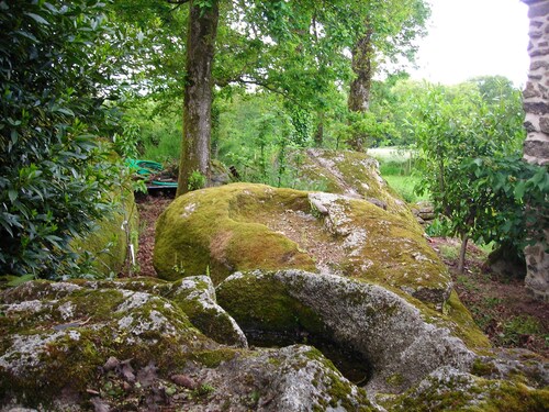maison paisible rythmée au chant des oiseaux