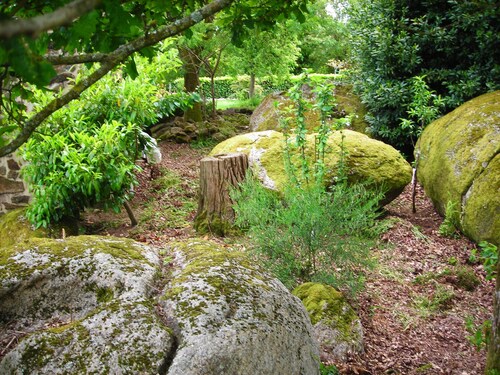 maison paisible rythmée au chant des oiseaux