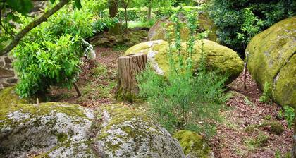 maison paisible rythmée au chant des oiseaux