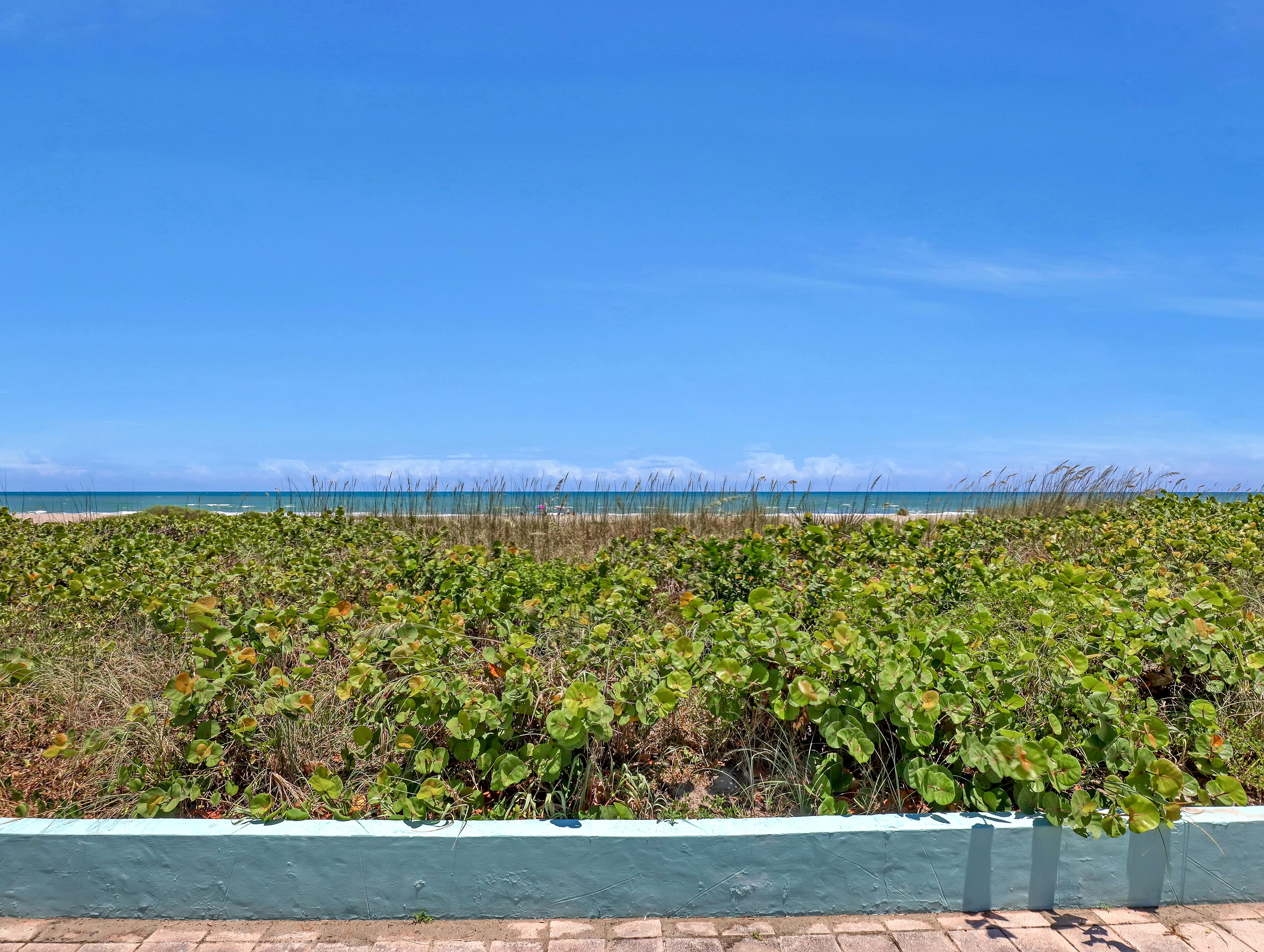 Vista de una playa, con una zona cubierta de hierba al frente y un cielo azul despejado.