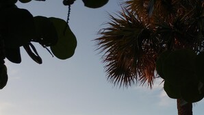 A patio area with a table and chairs, a palm tree, and a view of the sky with clouds.