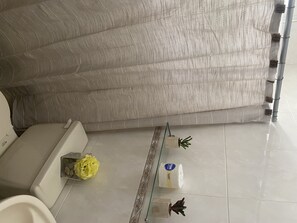 Combined shower/tub, jetted tub, bidet