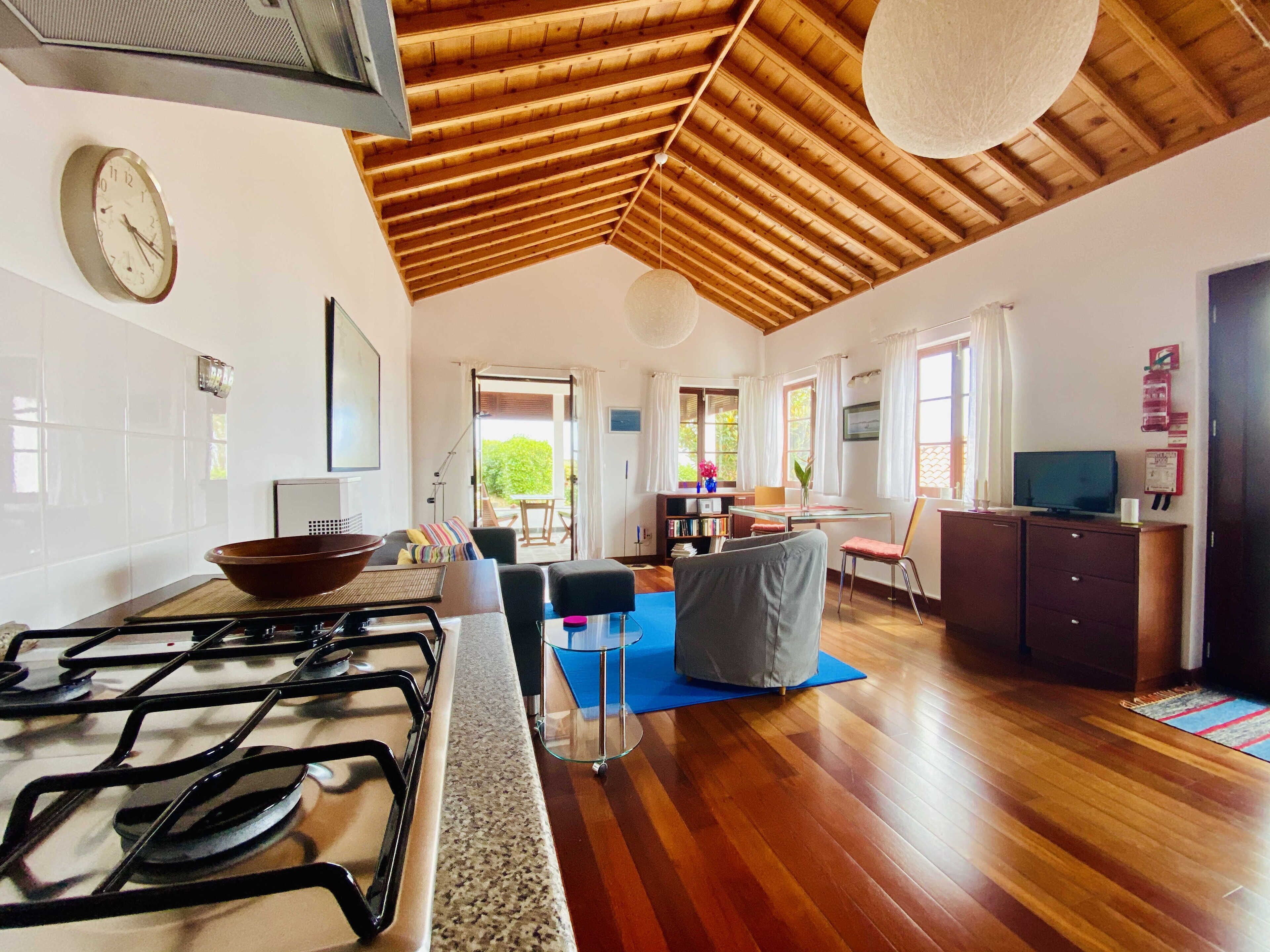 DVD-Player, Bücher, Musikbibliothek, Videothek