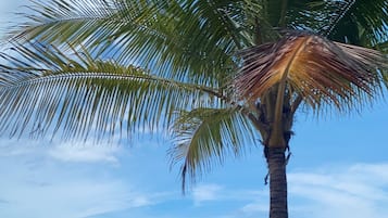 Beach nearby, sun loungers, beach towels