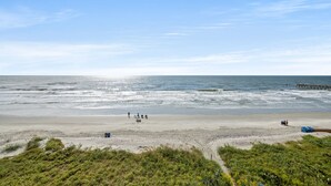 A beach with a pier, sandy shore, and some vegetation in the foreground.