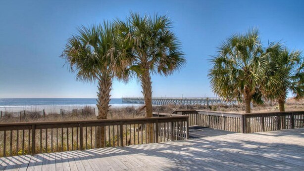 A wooden boardwalk with palm trees and a view of the ocean. - Sea Pointe 308 -Oceanfront 1BR- Indoor Pool & Hot Tub (North Myrtle Beach)
