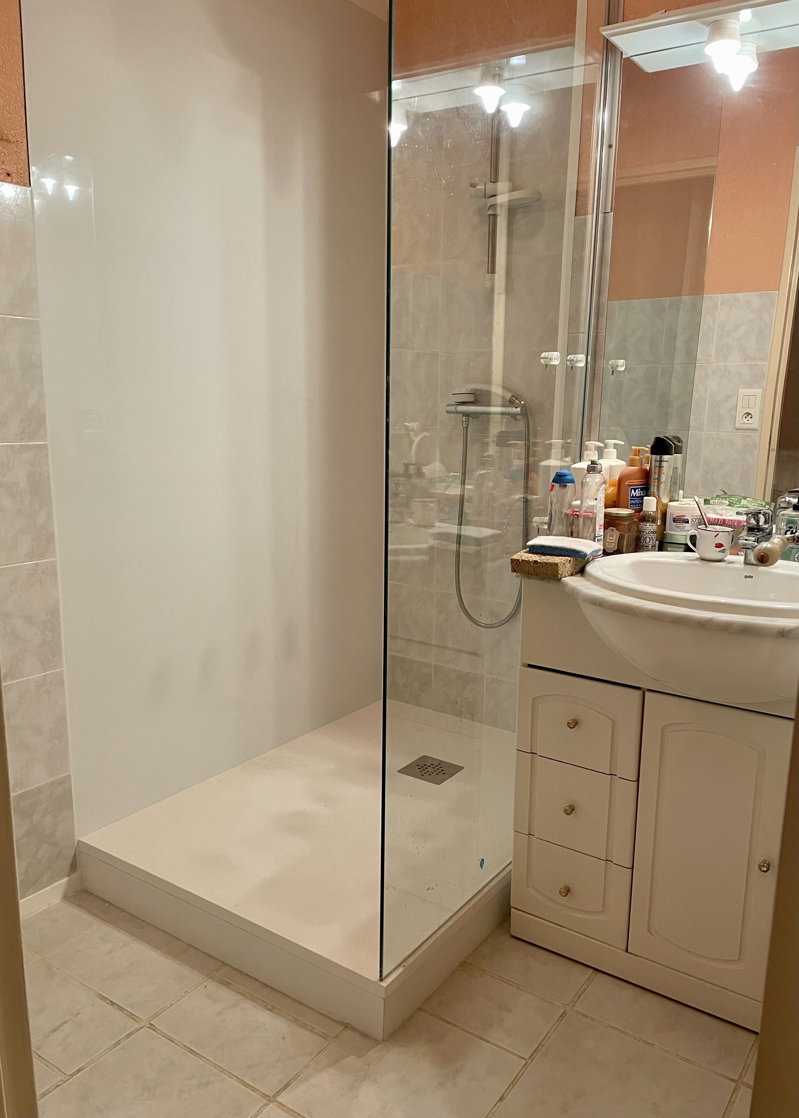 Une salle de bain avec une douche à parois de verre, un lavabo et un miroir.