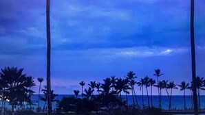 A beach scene with palm trees and the ocean under a cloudy sky.