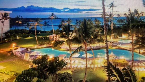 A resort with a swimming pool, palm trees, and a view of the ocean.