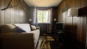 Smart TV, videojuegos, reproductor de DVD y libros