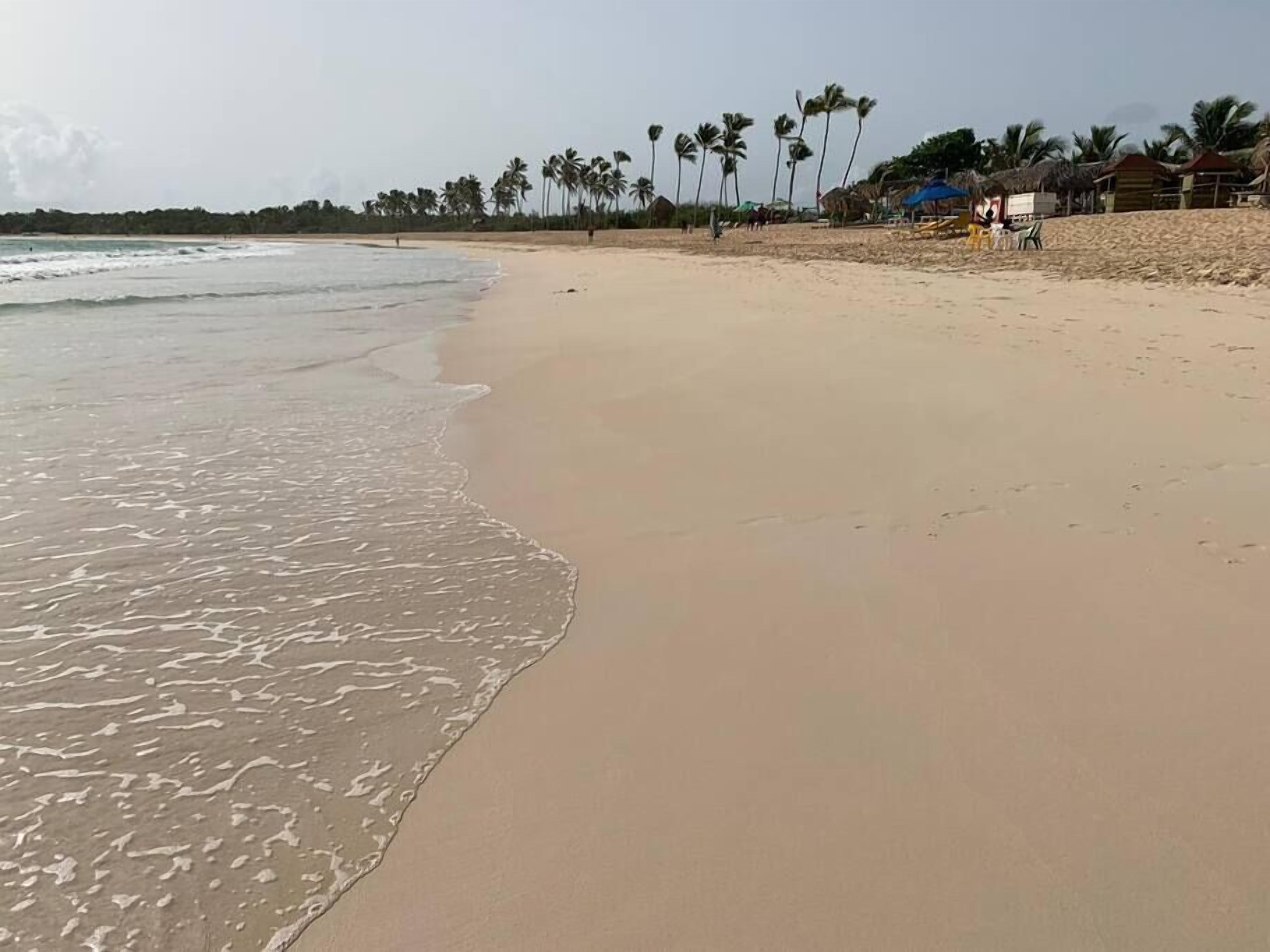 Une plage avec une eau cristalline, des palmiers et des cabanes de plage.