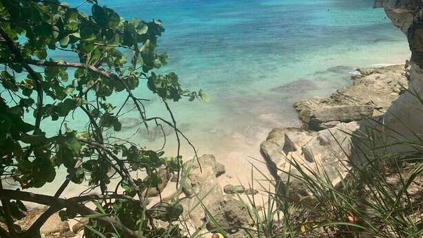 A coastal landscape with clear turquoise water, rocky shore, and vegetation. - Punta Cana 2 Bedr. up to 6 guests 1 mile to Beach (Punta Cana)