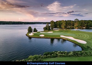 Golf - Gorgeous Lake Front Condo within the Gates of Reynolds! (Greensboro)