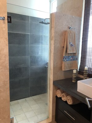 Shower, hair dryer, bidet, towels