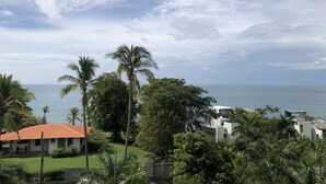 A coastal view with palm trees, a beach, and modern buildings.
