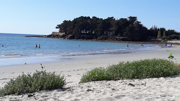 Een strand met helderblauw water, mensen die zwemmen en over het strand lopen, en een bebost gebied op de achtergrond.