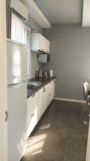 Fridge, microwave, electric kettle, toaster - house on a hill (Бережани)