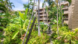 Un espace extérieur luxuriant, agrémenté de grands palmiers et d’une végétation tropicale dense.
