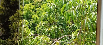 Detached annex of 35 square meters in a P-H in Sebucan, Caracas.