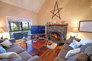 TV connectée, cheminée, livres, vidéothèque