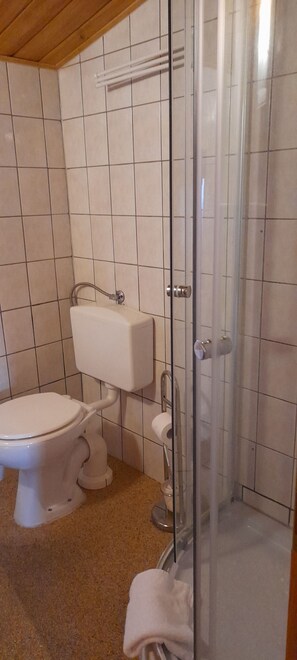 Dusche, Haartrockner, Handtücher, Toilettenpapier