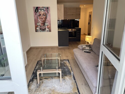 Très bel appartement T2 de standing entièrement meublé à 5 min à pied du centre.