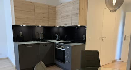 Very attractive, fully-furnished, luxury T2 apartment 5 minutes' walk from the center.