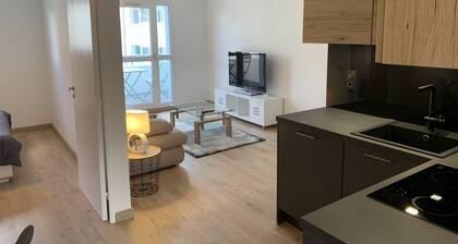 Very attractive, fully-furnished, luxury T2 apartment 5 minutes' walk from the center.