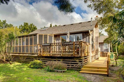 A Cat Named Vivian - Ocracoke Island