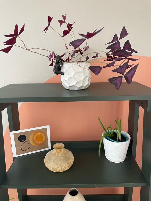 A shelf with a white hexagonal pot containing purple-leafed plants, a small figurine, and a framed picture.