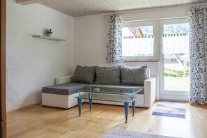 TV, books - Holiday apartment (Todtnau)