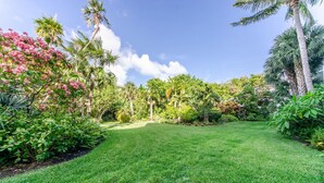 A well-maintained garden with a variety of tropical plants and a neatly trimmed lawn.