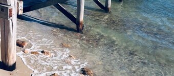 Stunning beachfront view , 