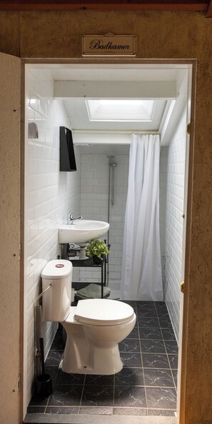 Een badkamer met toilet, wastafel, douche en dakraam.