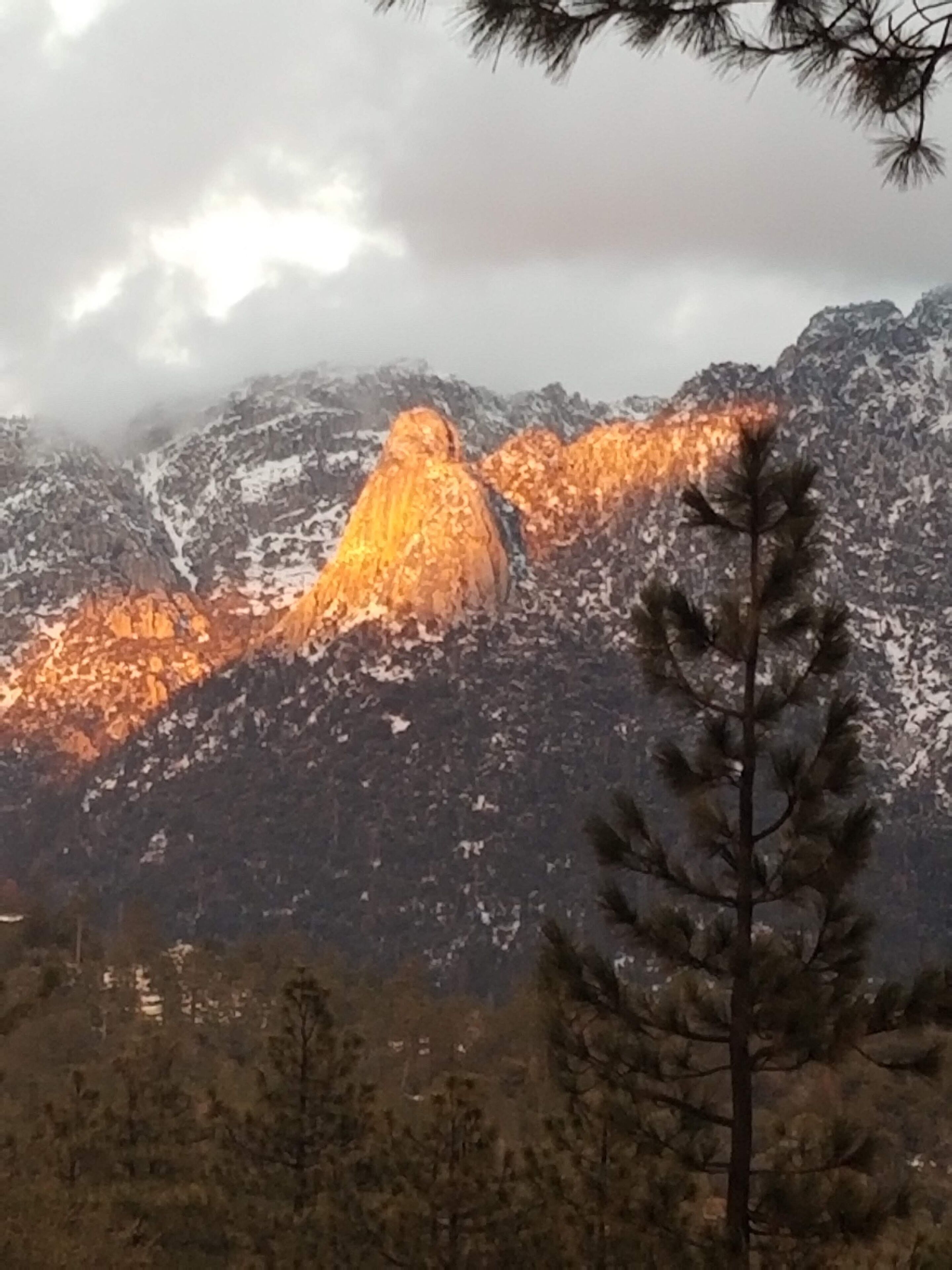 A mountainous landscape with snow-covered peaks and a pine tree in the foreground.