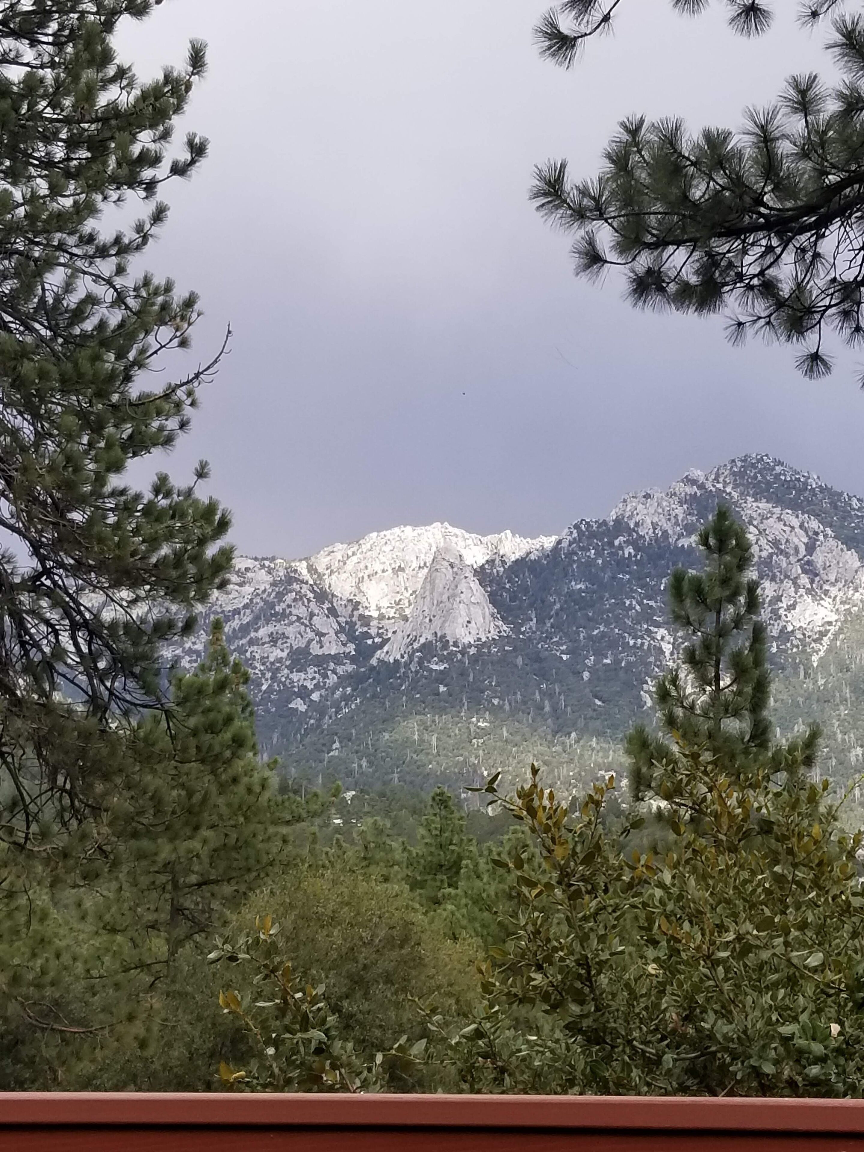 A mountain range with snow-capped peaks, surrounded by dense forest and pine trees.