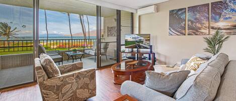 تلفزيون، مشغل دي في دي