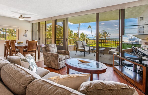 تلفزيون، مشغل دي في دي